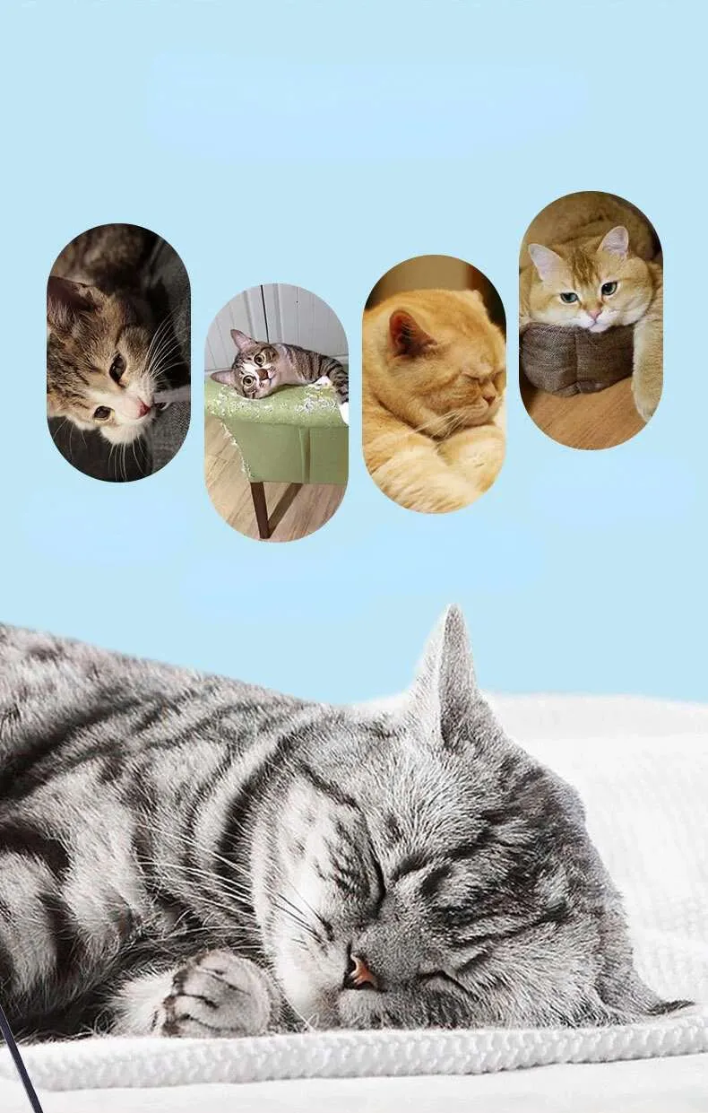 Interactive Cat Teaser Toy With Feather And Bell For Pet Play_voghion.com