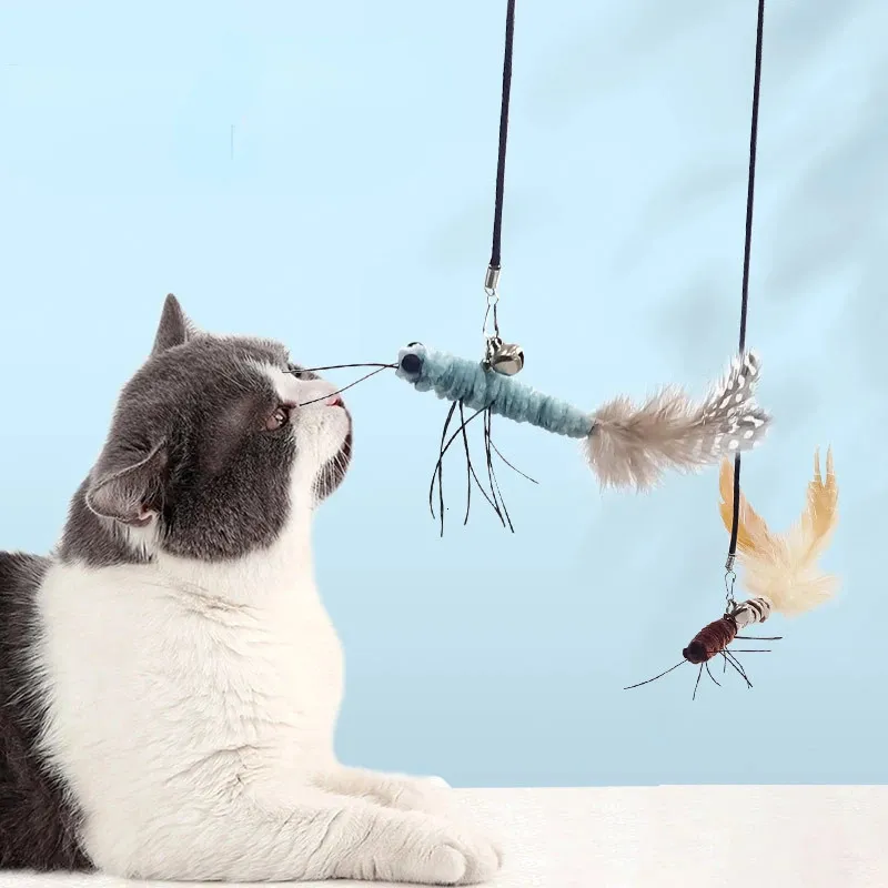 Teasing Head With Or Without Wire Stick Dragoy Feather Supplies Interactive Fun Pet Cat Toy Accessories_voghion.com