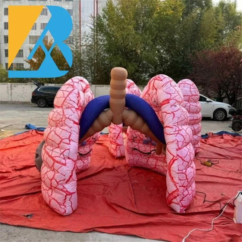 Inflatable Lung Display 6mLx6mWx6mH 20x20x20ft With Blower Bespoke Educational Display Giant ...