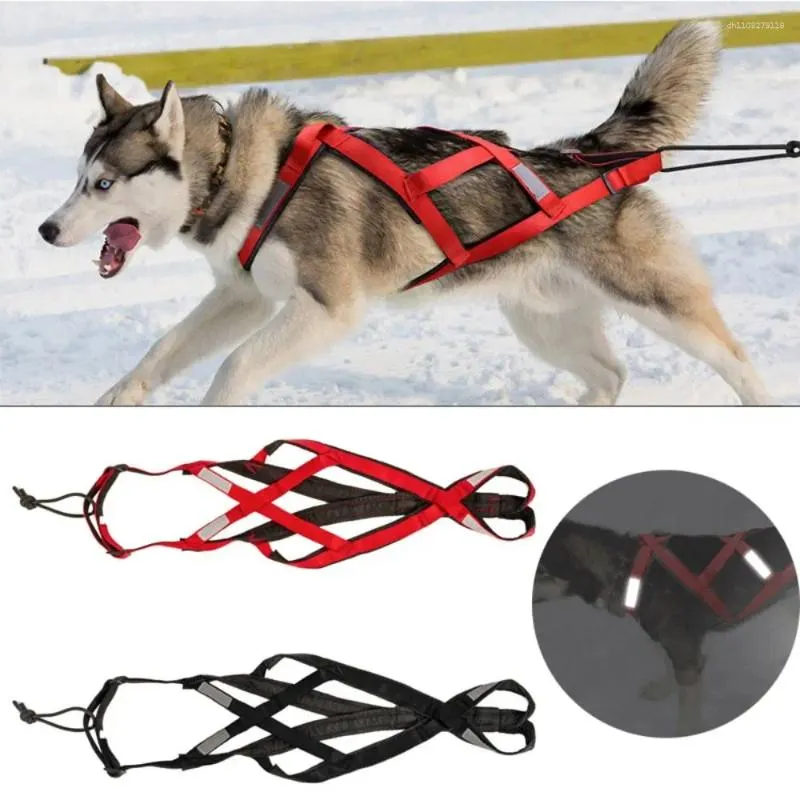 Save Big on Bulk Dog Sledding Harness Reflective Dog Harness Pulling  Sledding Adjustable Sled Weight Mushing Skijoring Pet Back Chest Strap  Large Dogs