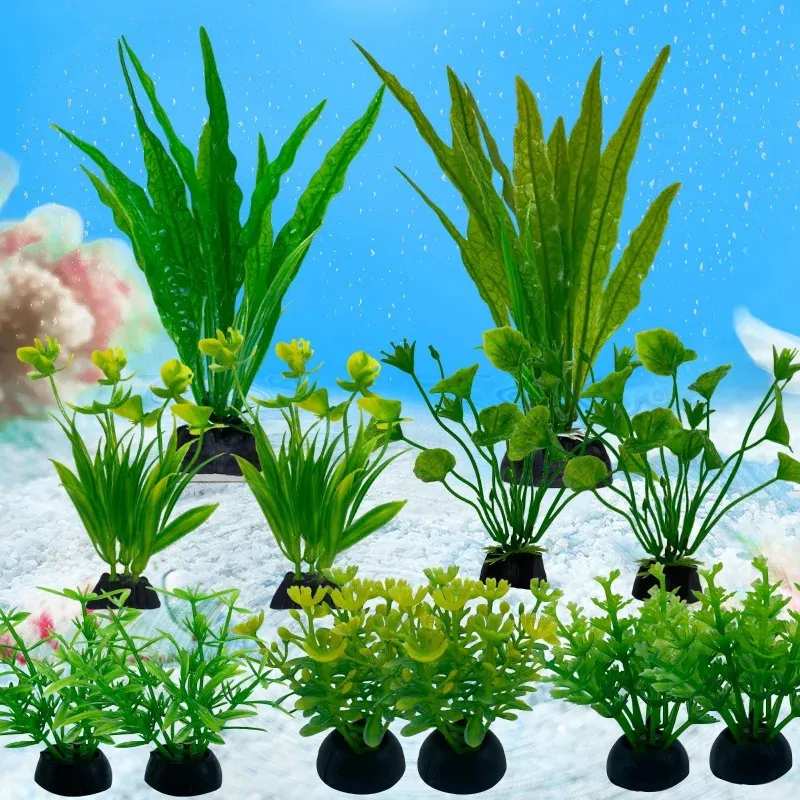 fish tank grass accessories Aquarium Water Seeds for | 100+ Seeds 25cm x 25cm/9.84 x 9.84 Penn Plax Aqua Plant Baby