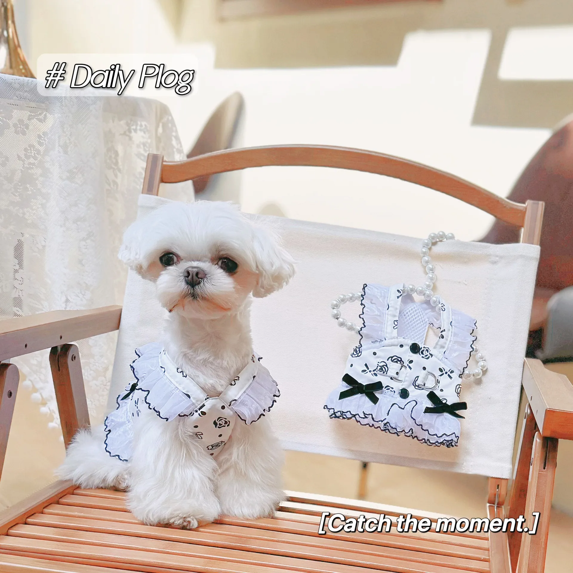 Fashion Cotton Dog Dress With Floral Bow Tie, Breathable Princess Harness  Dress For Small Dogs Spring Summer Pet Clothes With Leash D Ring, Cute  Puppy Dress For Holidays, Birthdays, Weddings From Fashionpet,
