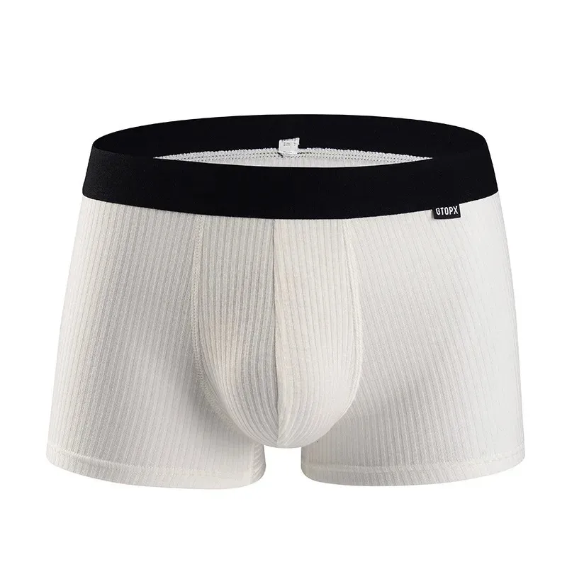 Buy AD2CART A0013 Men's Low Rise Briefs Panties, Men Boxer Underpants Shorts Underwear Bulge Pouch Funny Thongs Online At Best Prices In India - Foto 7