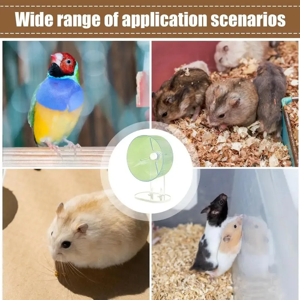 Hamster