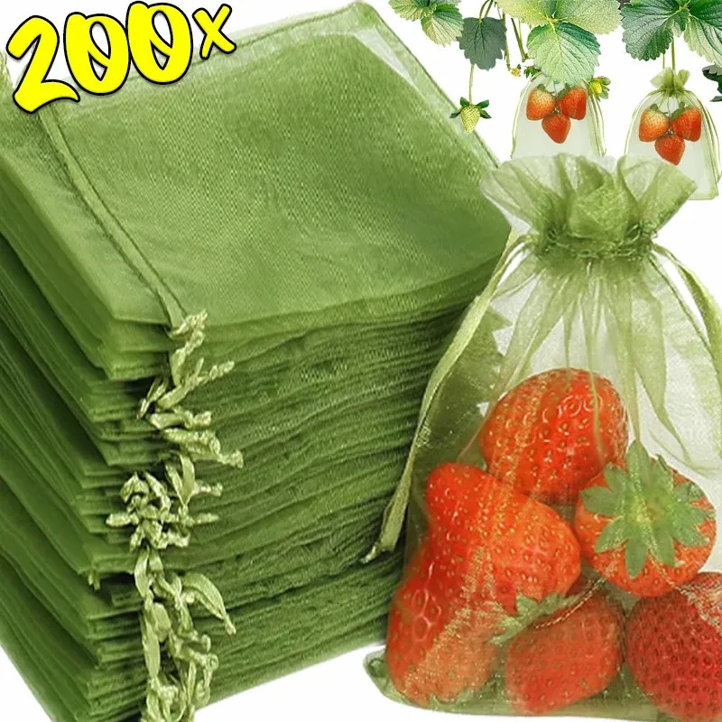 Borse Da Reti Di Protezione Da Frutta 200/10x Borse Coltivare