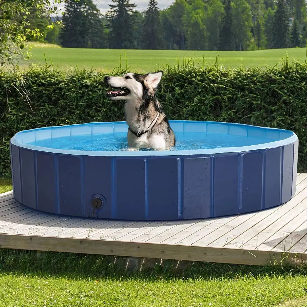 EPN Grande piscine pliable pour chiens et enfants, en PVC rigide