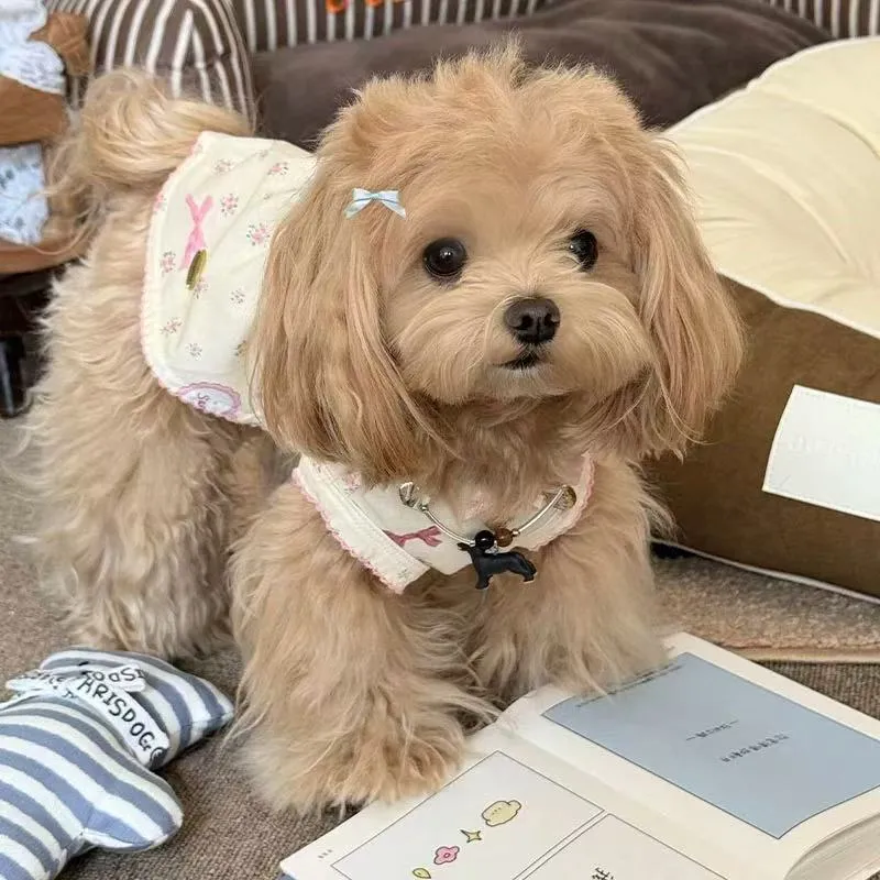 T558 Vestiti Animali Domestici Cani E Gatti Estate Vestiti Di