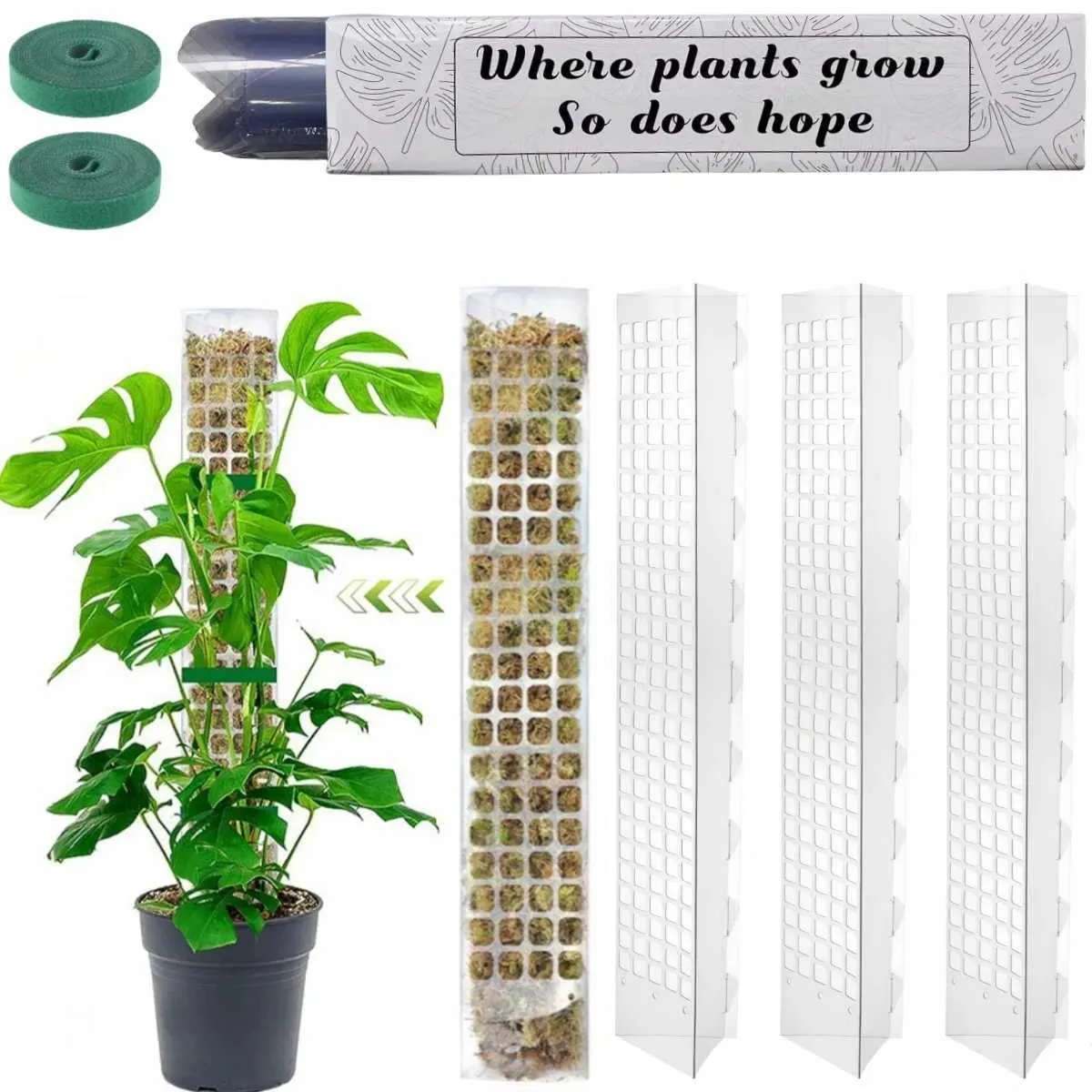 Titor Pot Moss Pole Plant Support Indoor Climbing Plant Stand... From Happy_dust ...