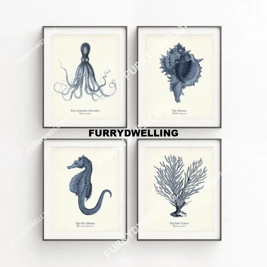 Ilustraciones Del Mar, Pulpo Náutico De La Marina, Caballito De Mar Dwe74,  Póster Artístico De La, image size:900x900