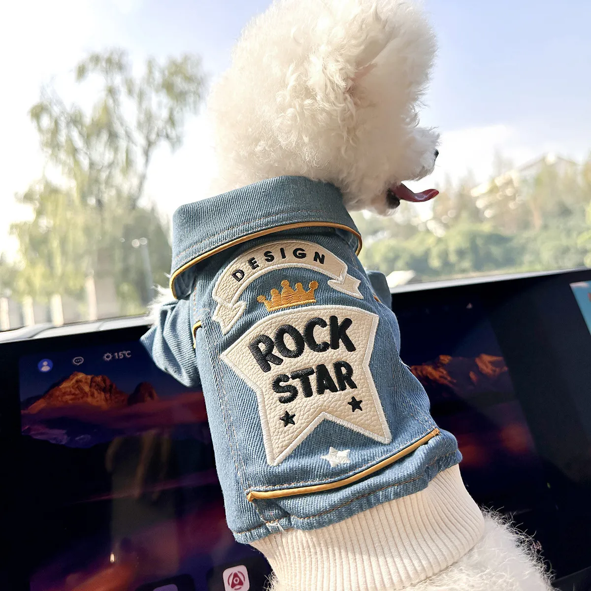 スタイリッシュなデニムドッグジャケット スターチャンピオンリトル 