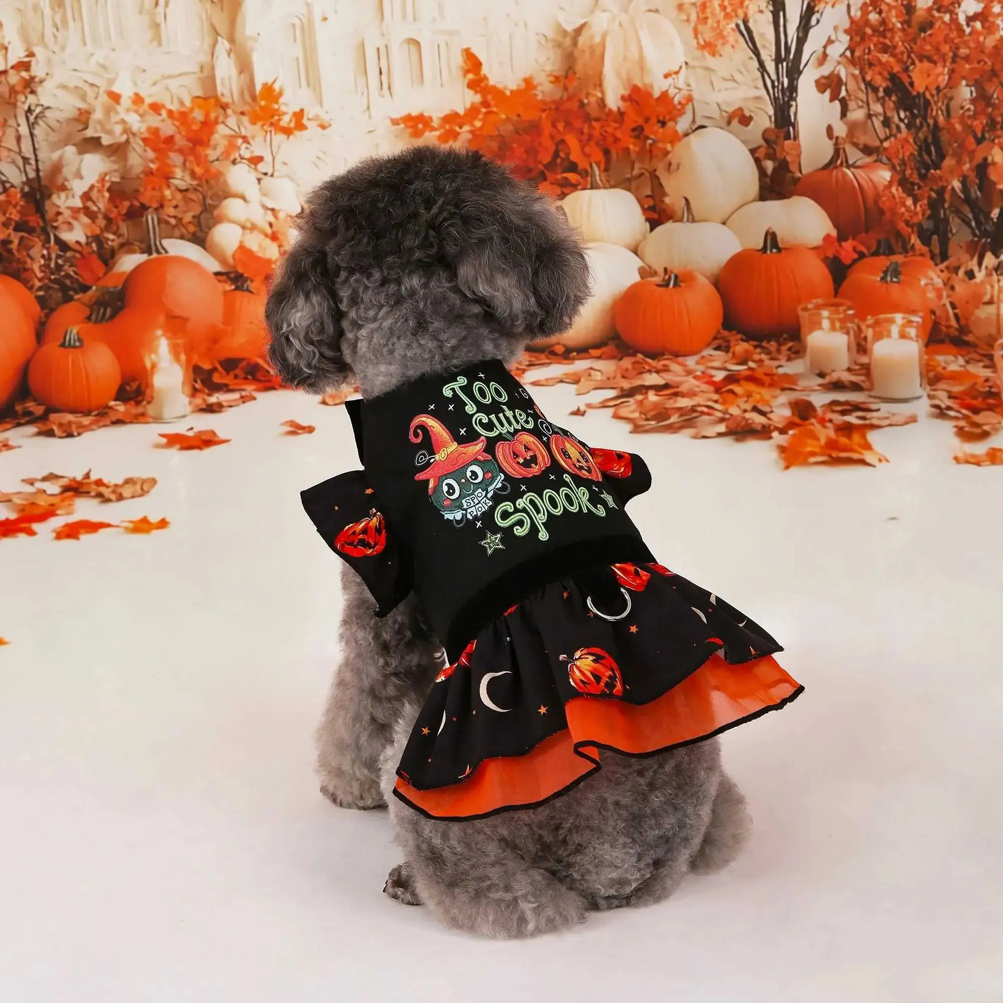 Cani Simpatico Costume Zucca Cane Accessori Abbigliamento Per Cani
