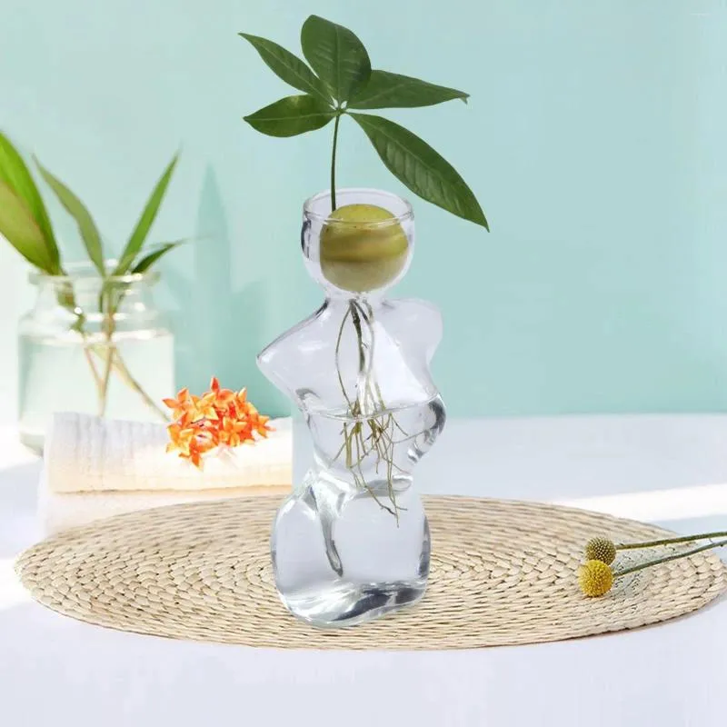 Vase à Avocat Transparent - Pour Faire Germer Un Noyau - Hydroponie, Décoration - Cadeau Jardinage - 7