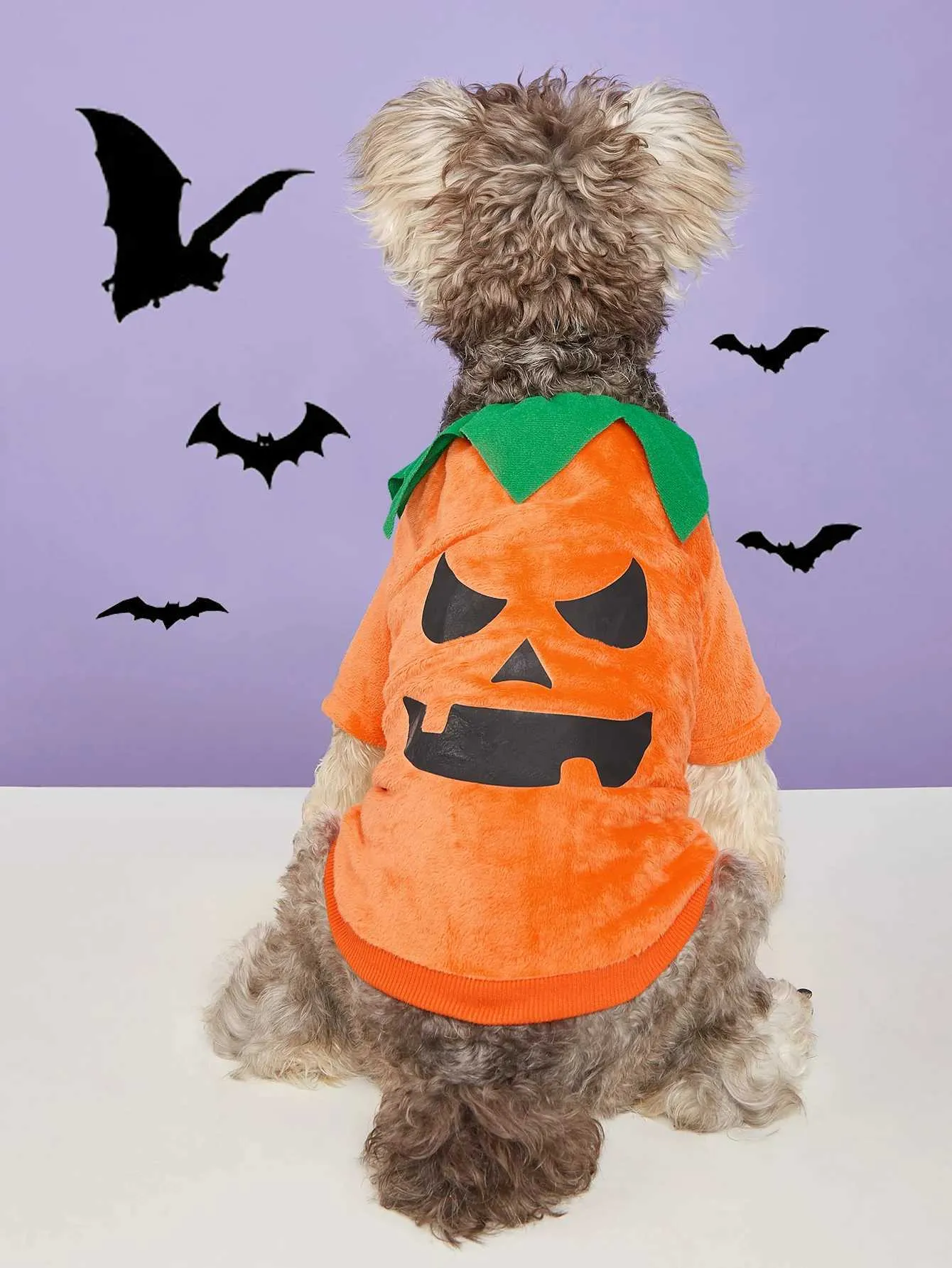Vestiti Halloween Cani Costume Zucca Cane Fantasma Costumi Di