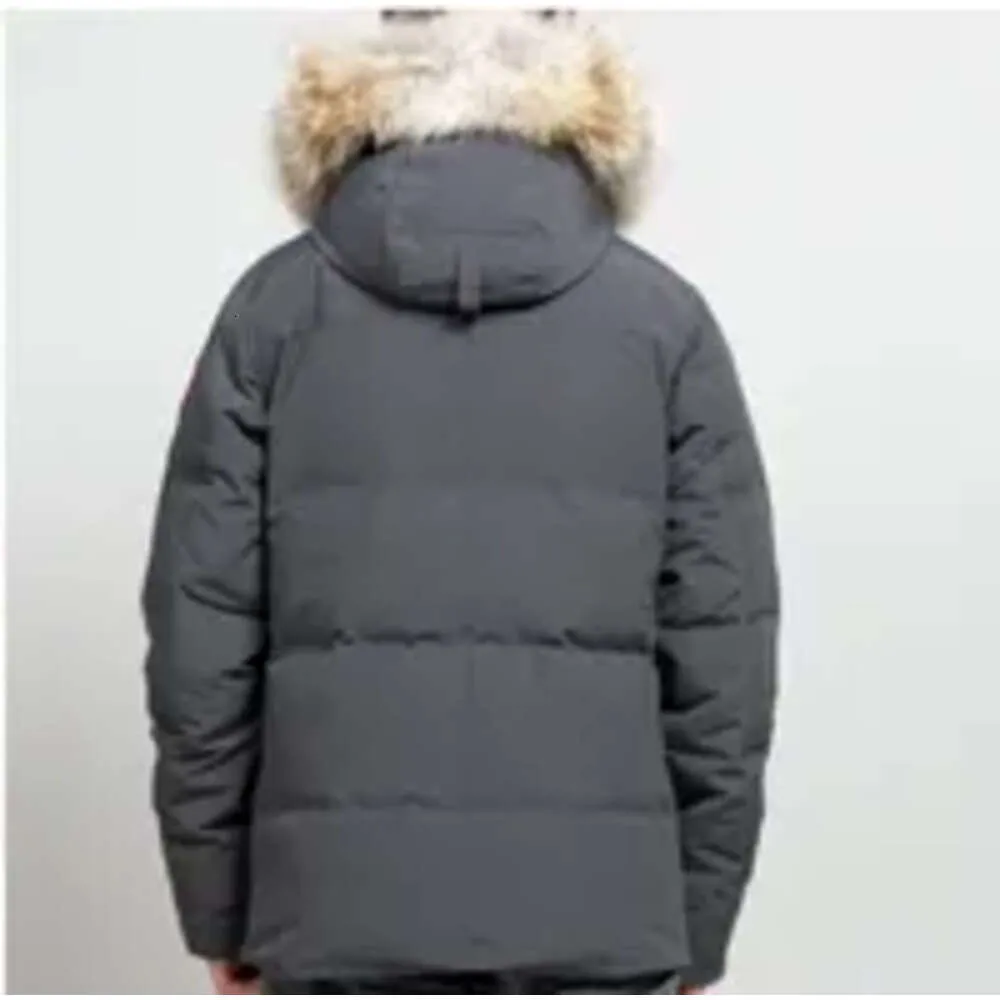 Goosecoats Gilet Chaqueta De Plumas Abrigos De Canadá Abrigo Con - Main Image