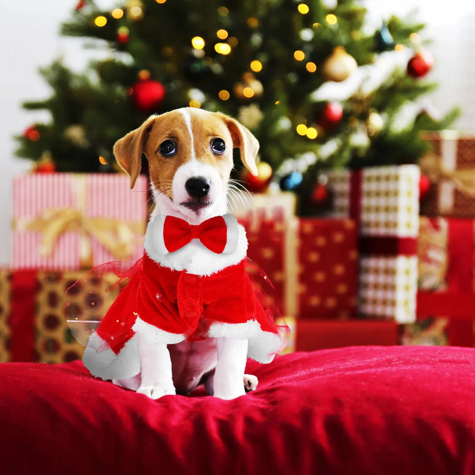 dogs dressed in christmas costumes Dog Christmas Costume Dog Dressed As Santa Santa Claus Dog Outfit, Santa Pet Set, Christmas Dog