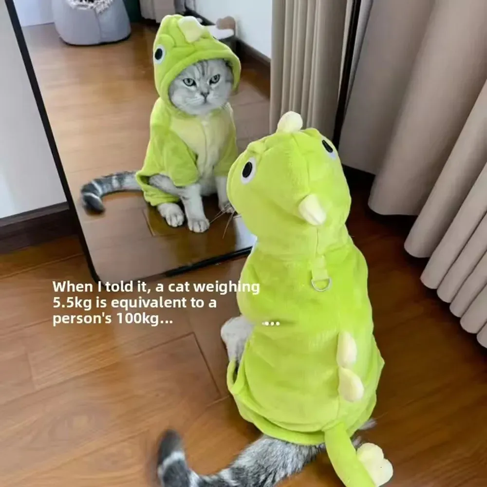 Costume A Mantello Gatto Per Animali | Cosplay Halloween | Anti-Pilling E Morbido | Per