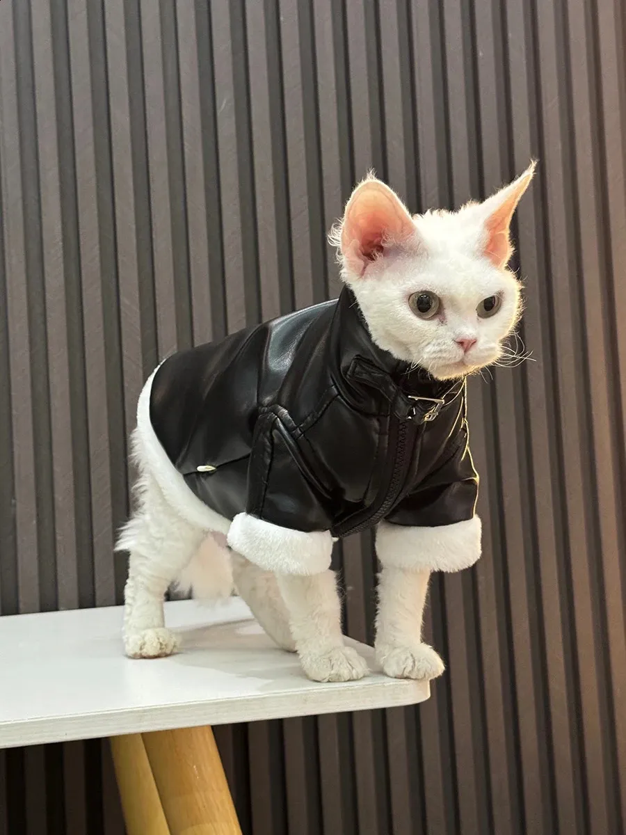 Jaqueta De Couro Impermeável Com Gola De Pele Para Gato Sphynx Inverno  Grosso Moda Para Devon Rex Casaco De Lã De Cordeiro Quente Para Gatinhos  251028 De $359,54 | DHgate, image size:900x1200
