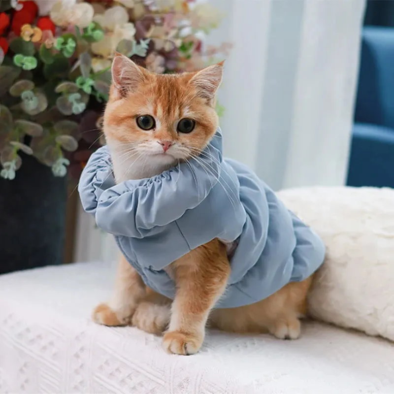 Winter Cat Puppy Jacket Color Scheme Pet Down Jackets With Dring For Small Dogs Cats Fashion Warm Kitten Clothes Mascotas 251028 From Zhong10, $14.92 | DHgate.Com Winter Cat Puppy Jacket Color Scheme Pet Down Jackets With Dring For Small Dogs Cats Fashion Warm Kitten Clothes Mascotas 251028 From Zhong10, $14.92 | DHgate.Com