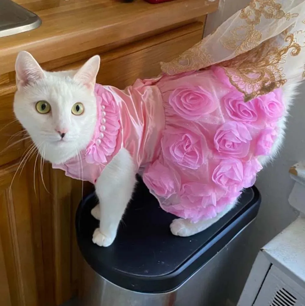 cat formal dress Small Dog Cat Dress Puppy Pet Tutu Skirt Cat Clothes... From Tuo09, $11.82