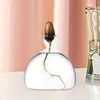 Vasen Avocado-Samen-Starter-Vase, Glas-Anbauset, Hydrokultur für Büro, Schreibtisch, Zubehör, Geburtstag, Pflanzgefäß, Geschenk, Inneneinrichtung, Heimdekoration