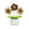 Fleurs décoratives plantes colorées, petite fleur crochetée à la main en pot, fil réaliste, décoration de maison, Bouquet tricoté