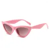 Sunglasses Fashion Sell In US Market Cat Eye Shape PC 2024