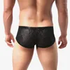 Underpants Men Lace Transparent Breathable Sexy Low Waist Boxer Shorts Male Solid Spandex Hombre Underwear