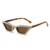 Solglasögon Personlighet Small Frame Cat Eye Triangle Set With Diamonds Designer Sun Glasses For Women UV400