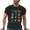 Mäns T -skjortor Bird Drones of North America - Rolig tittar på fågelskådare Söt fältguide för älskare T -shirt Blus Mens