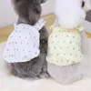 Vestuário para cães Roupas para animais de estimação sem rugas Cor quente Colete de gato sem mangas Roupas de duas pernas para o verão