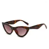 Sunglasses Fashion Sell In US Market Cat Eye Shape PC 2024