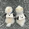 Hondendraagtas Kat Puppy Rugzak Huisdier Buiten Wandelen Draagbare tas Voor katten Kleine honden Doek Schattig Licht Pommeren Bichon