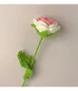 Decoratieve bloemen Handgeweven rozenboeket Bloem Handgehaakt Simulatie Handgemaakt garen Woondecoratie Valentijnsdag Jaarcadeau