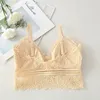 Bustiers & Corsets Summer Sexy Lace Tube Top With Chest Pad Women Push Up Bra Beauty Back Underwear