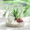 Vases Multicultural Flower Pots Cultivation Landscape Vase Hair Water Wholesale Ecological Micro Glass Simple Home Decor