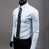 Herrklänningskjortor Skjorta krymper resistent smal fit bomulls affärsknappstängning för