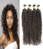 Maleisisch krullend haar menselijk U tip hair extensions 200g Pre Bonded Braziliaanse Human Fusion Keratine Natuurlijke Haarextensies1994076