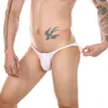 Underpants Sexy Men Briefs Mini Underwear Bulge Bolsa Calcinhas Bikini Elastic Slips Low Rise Cueca Hombre