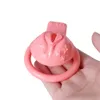 Male Smaller Cock Cage Mens Sissy 3D Print Labia Micro Chastity 3 Color Simple Penis Ring With Lock Sex Shop Toys For Men 240102