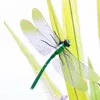 Garden Decorations 5pcs Dragonfly Decor Home Scene Layout Lawn Sculpture Adorn Outdoor Simulation Insects Stake Decoration