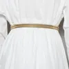 Belts Fashion Advanced Sense Spring Golden Leaf Elastic Belt Sealing Women's Dress Waist Chain