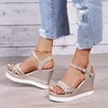 Sandals Women Summer Wedge Heel منصة سوار مفتوحة إصبع القدم مكتنزة أسفل الأحذية غير الرسمية 2024 الذهب الفضة الوردي 10 سم 10 سم