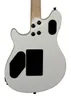 Spécial Guitare Polar White "Bon Etat"