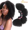 brazilian virgin hair afro kinky curly unprocessed brazilian afro kinky curly human hair extensions5374632