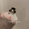 Fermagli per capelli Mollette Designer Etichetta dorata di lusso CEL Arco di trionfo Acido acetico Clip piccola alla moda Clip premium per Instagram Accessori versatili per le donne