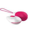 Druppeltjes Vibrator Afstandsbediening GSpot Simulator Vaginale bal Anale Plug Vibrerende Liefde Ei Masturbator Speeltjes Voor Vrouwen Volwassen 240102