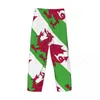 Mannen Nachtkleding Wales Vlag 3D Casual Pama Broek Trekkoord Zakken Slaap Bodems 2024 Mannelijke Gedrukt Losse Rechte Broek