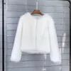 Manteau court en fausse fourrure pour femmes, peluche chaude, manches longues, ample, col en v, vêtements d'extérieur pour femmes, automne hiver, pardessus de rue