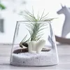 Vases Multicultural Flower Pots Cultivation Landscape Vase Hair Water Wholesale Ecological Micro Glass Simple Home Decor