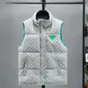 Gilet d'hiver à col montant pour homme, épais, en duvet de coton, avec Clip, sans manches, manteau de sport, T230914, nouvelle collection